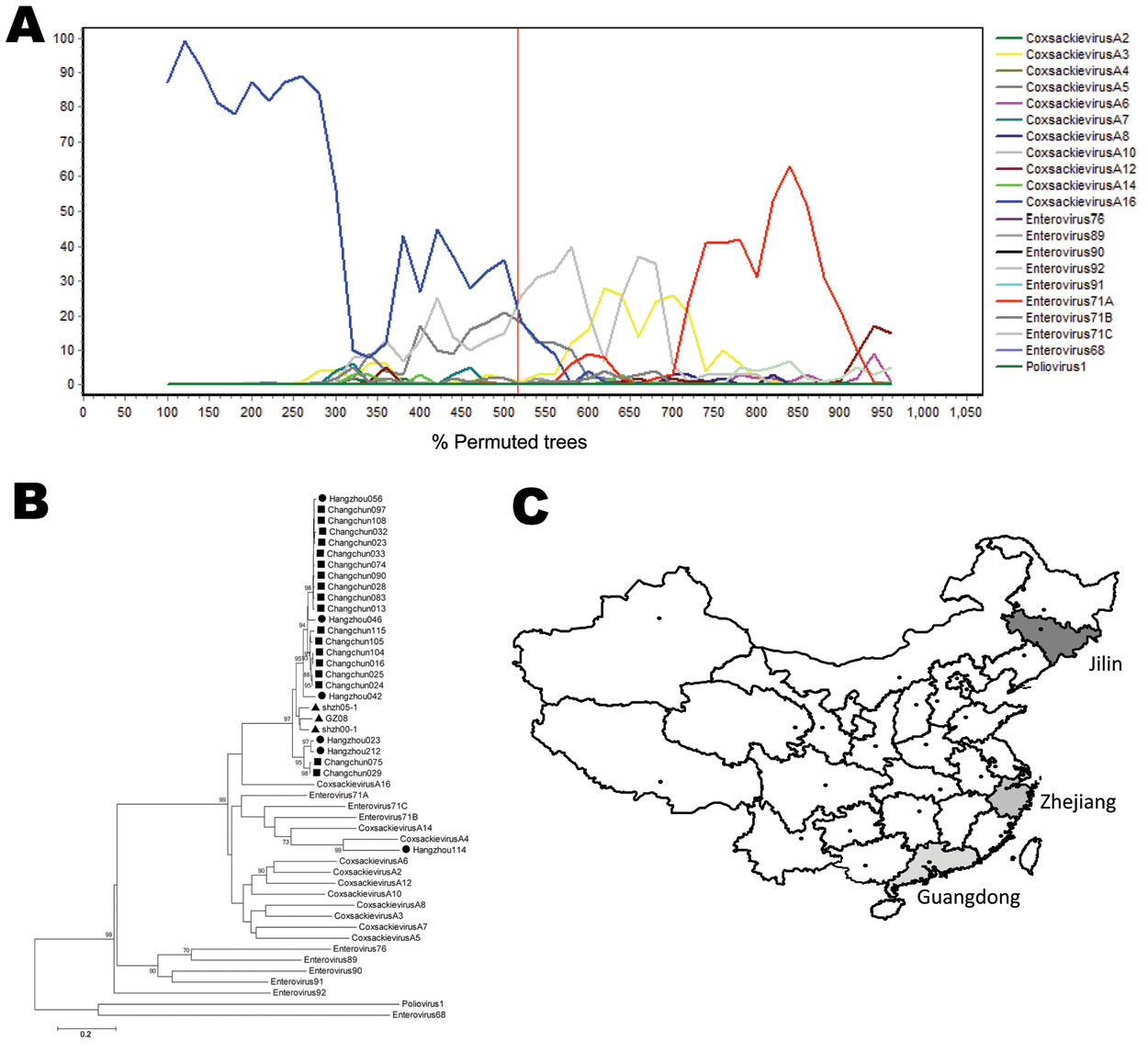 Phylogenetic analysis of Changchun and Hangzhou coxsackievirus 16A (CA16) sequences. A) Bootscanning results representing selected Changchun and Hangzhou sequences. changchun104 was shown for bootscanning analysis with human enterovirus A (HEV-A) sequences and shzh00-1 as references. The results suggested changchun104 was similar to shzh00-1. The red vertical line indicates position 3,555, which corresponded to shzh00-1. B) hangzhou212, hangzhou023, and all Changchun sequences clustered with shz