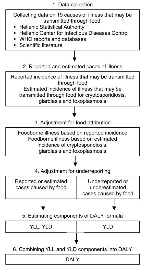 Working scheme for estimating the incidence and effects of foodborne illness in Greece. For cryptosporidiosis and giardiasis, because estimated cases are on the same level of the surveillance pyramid as reported cases, the cases occurring in the community (underestimated cases) were based on underreporting factors suitable for these pathogens. In the case of toxoplasmosis, disability-adjusted life years (DALY) are calculated only on the basis of estimated cases which cover the entire population.