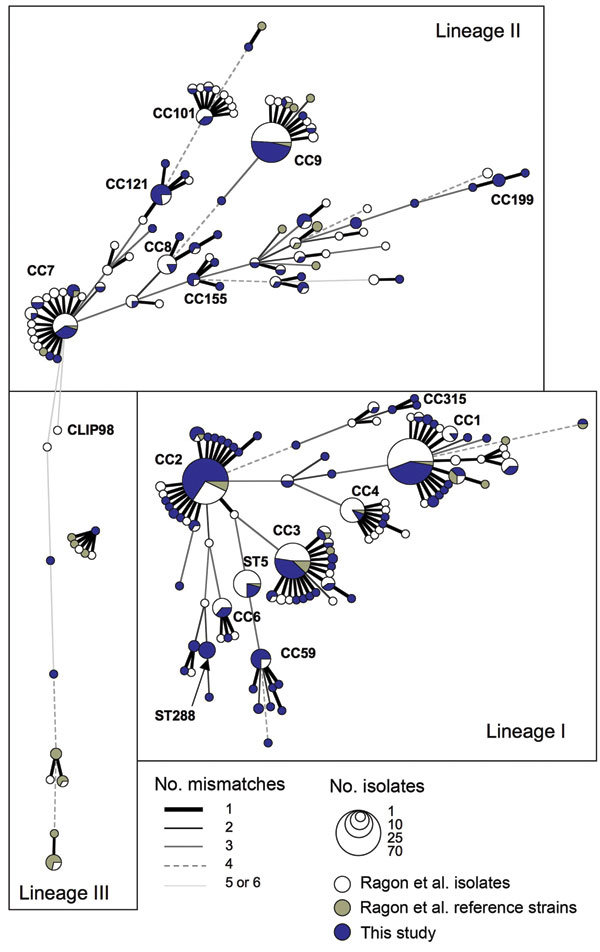 Genetic relationships among 660 Listeria monocytogenes isolates. The graph is a minimum spanning tree based on allelic profiles by using BioNumerics version 6.1 (Applied-Maths, Sint-Martens-Latem, Belgium). The 300 isolates of this study are in blue; the 360 L. monocytogenes isolates and reference strains of our earlier study (12) are in white and gray, respectively. Each circle represents a multilocus sequence typing genotype (ST), the size of which is related to the number of isolates (see leg