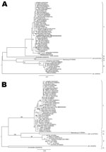 Thumbnail of Maximum-likelihood comparison of a partial section of the E-protein gene (A) and NS5 gene (B) of West Nile virus (WNV) lineage 2 strains isolated in South Africa (SA) in 2010 from a mare with fatal neurologic disease and representative sequences of other WNV lineages from various regions of the world. The lineage 1 strain, SAE75/10, identified in South Africa is indicated by a triangle and arrow. Sequences were aligned with MAFFT version 6 (http://align.bmr.kyushu-u.ac.jp/mafft/soft