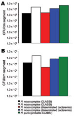 Thumbnail of Nocardia nova and N. puris quantitative biofilm formation, as assessed by biofilm colonization model. Nocardia spp. isolates adhered to polyurethane (A) and silicone (B) central venous catheter segments with extensive biofilms. CLABSI, central line–associated bloodstream infection.