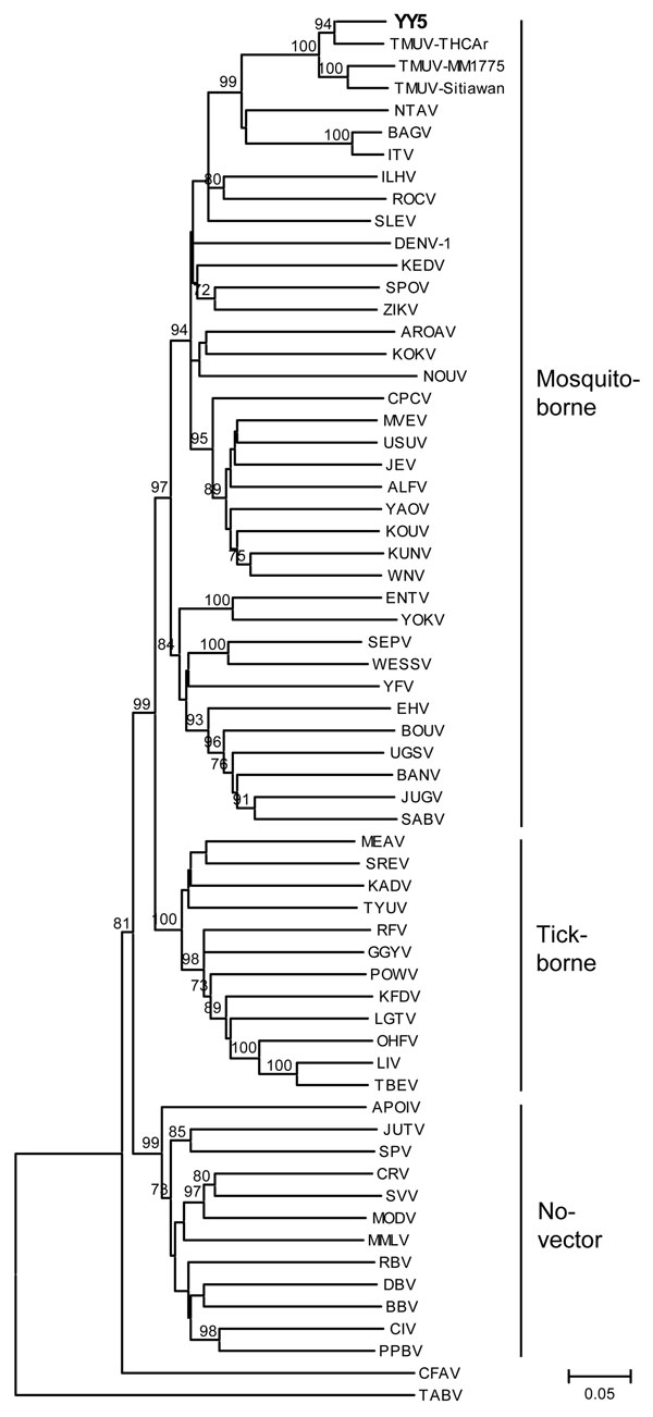 Phylogenetic analysis of isolate YY5 (in boldface) from an ill Shaoxing duck in the People’s Republic of China and selected other flaviviruses obtained by using an ≈1-kb nt sequence in the nonstructural 5 genomic region. The tree was constructed by the neighbor-joining method of MEGA (7). Numbers at nodes indicate bootstrap percentages obtained after 1,000 replicates; only bootstrap values &gt;70% are shown. Scale bar indicates genetic distance. The sequences used in the phylogenetic analysis ar