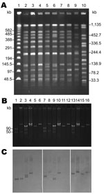 Thumbnail of Analyses of Salmonella enterica serotype Choleraesuis isolates from Chang Gung Memorial Hospital, 1999–2010. A) Pulsed-field gel electrophoresis patterns. Lanes 1 and 10, DNA size markers demonstrated by a λ DNA concatemer standard and S. enterica ser. Braenderup H9812, respectively; lanes 2 to 9, S. enterica ser. Choleraesuis SC-B67, SC-B104, SC-B93, SC-B98, SC-B131, SC-B132, SC-B134, and SC-B136. B) Plasmid analysis and C) DNA–DNA hybridization. Probes for DNA–DNA hybridization of