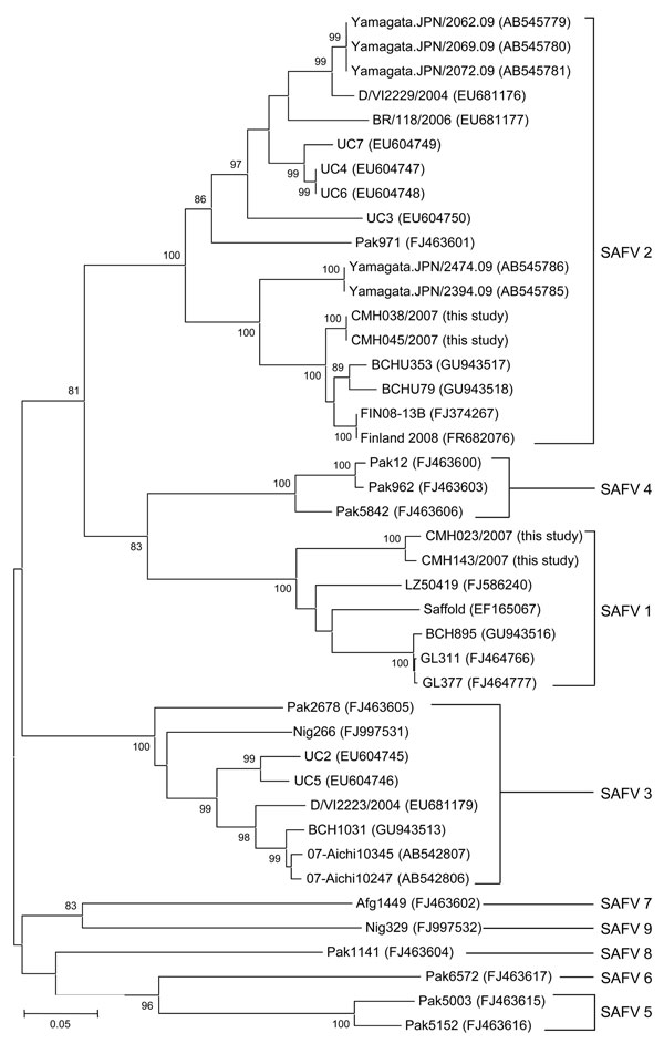 Phylogenetic analysis of the partial nucleotide sequence (369 nt) encoding the viral protein 1 gene of Saffold virus (SAFV) isolated in this study and other reference strains. The tree was generated by using the neighbor-joining method and MEGA4 (www.megasoftware.net). Bootstrap values &gt;80 are indicated for the corresponding nodes on the basis of a resampling analysis of 1,000 replicates. Scale bar indicates nucleotide substitutions per site.