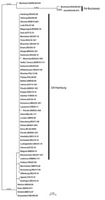 Thumbnail of Phylogenetic relationships between measles viruses of genotype D4 recently detected in Europe. The measles virus variant D4-Hamburg initiated a long-lasting transmission chain spreading to several European countries during 2008–2011. D4-Hamburg belongs to the D4-Enfield lineage, which is genetically distinct from the previously widespread lineage D4-Bucharest. Phylogenetic analysis is based on a 456-nt sequence encoding the C-terminus of the measles virus nucleocapsid protein. The t