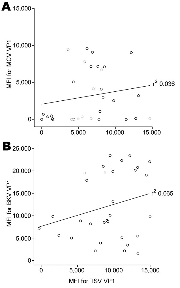 Cross-reactivity between trichodysplasia spinulosa–polyomavirus (TSV), Merkel cell polyomavirus (MCV), and BKV polyomavirus viral protein 1 (VP1). Correlation between seroreactivity against TSV VP1 and MCV VP1 (A) and BKV VP1 (B) was analyzed by using Bio-Plex 100 analyzer (Bio-Rad Laboratories, Hercules, CA, USA) with 30 serum samples from renal transplant patients, the Netherlands. Each circle represents 1 serum sample, and the line represents results of linear regression analyses. Correlation