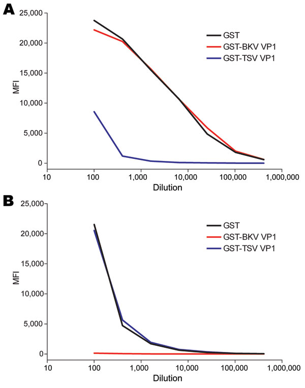 Seroresponses against trichodysplasia spinulosa–associated polyomavirus (TSV) (A) and BKV polyomavirus (B) for a patient with trichodysplasia spinulosa, the Netherlands. Serial dilutions of serum from a TS patient were tested for reactivity against TSV viral protein 1 (VP1) or BKV VP1 by using the VP1 multiplex antibody-binding assay. Samples were preincubated with soluble recombinant glutathione-S-transferase (GST) (black line), GST-BKV VP1 (red line), or GST-TSV VP1 (blue line). MFI, median fl