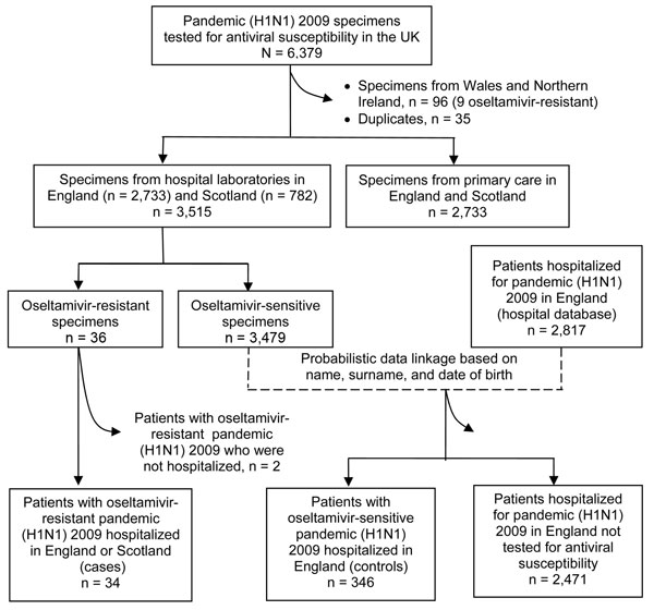 Flow chart showing testing of specimens from persons with confirmed pandemic (H1N1) 2009 infection for antiviral susceptibility, United Kingdom, April 27, 2009–April 30, 2010.