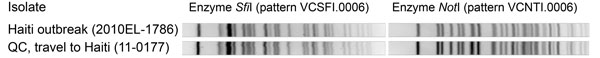 Pulsed-field gel electrophoresis (PFGE) of cholera outbreak strain from Haiti and travel-associated isolate in the patient, by using SfiI and NotI and PulseNet Canada PFGE pattern designations.