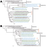 Thumbnail of A) Viral protein 1 (VP1) and B) large T antigen (LT) nucleotide-based phylogenetic reconstructions of polyomaviruises inferred by using a Bayesian method. Taxa annotations include reference number, name of the virus, host taxonomic order (in parentheses), host genus whenever available, and reported collection date. Human viruses are indicated in blue, and monkey viruses are indicated in green. Red vertical bars highlight groups for which VP1 and LT signals are incongruent. Posterior