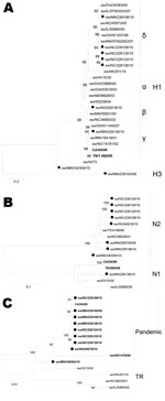 Thumbnail of Phylogenetic trees of pandemic reassortant swine influenza viruses compared with currently circulating swine influenza strains: A) hemagglutinin (H); B) neuraminidase (N); C) matrix genes. The trees were constructed by using the neighbor-joining method (Kimura 2-parameter) with 1,000 bootstrap replicates. Only bootstrap values &gt;74 are shown. Swine reassortant strains characterized in this study are indicated with a closed circle. Boldface indicates pandemic segments. Greek letter