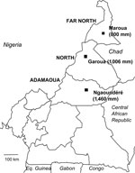 Epidemic Meningococcal Meningitis, Cameroon - Volume 17, Number 11—November 2011 - Emerging ...
