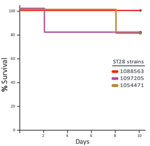 Thumbnail of Survival of CD1 mice inoculated with the different Streptococcus suis sequence type 28 strains from North America. In this experiment, the infectious dose was 1 × 108 CFU/animal, 10-fold higher than in the previous experimental inoculation. Doses were intraperitoneally injected into the animals. No significant differences were found between groups.