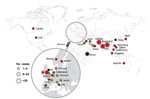 Thumbnail of Geographic distribution of New Delhi metallo-β-lactamase-1 producers, July 15, 2011. Star size indicates number of cases reported. Red stars indicate infections traced back to India, Pakistan, or Bangladesh, green stars indicate infections traced back to the Balkan states or the Middle East, and black stars indicate contaminations of unknown origin. (Most of the information corresponds to published data; other data are from P. Nordmann.)