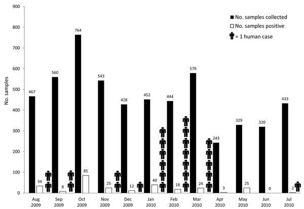 Number of samples collected from poultry and number positive for influenza (H5N1) virus, Egypt, August 2009–July 2010.