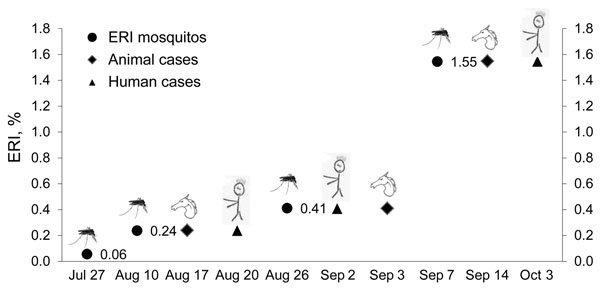 Expected rates of infection (ERI) in mosquitoes in the West Nile virus–positive site and hypothetical time from exposure to infected mosquitoes to clinical cases in animals and humans (calculated 1 week before symptom onset) recorded in the same province, Venice Province, Italy, 2010.