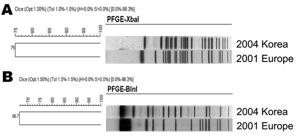 Clustering of A) XbaI- and B) BlnI-digested DNA fragments by pulsed-field gel electrophoresis (PFGE) for Escherichia coli O104:H4 2011 outbreak strain in Europe and isolate obtained in South Korea in 2004.