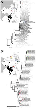 Thumbnail of Unrooted neighbor-joining trees showing nucleotide sequence relationships between A) serotype A and B) serotype O foot-and-mouth disease (FMD) viruses from eastern Asia (red, China; dark blue, South Korea; orange, Russia; green, Mongolia; light blue, Japan) compared with closely related virus sequences from countries in mainland Southeast Asia to which FMD is endemic (black areas). Thirty-one viral protein 1 nucleotide sequences obtained during this study have been submitted to GenB