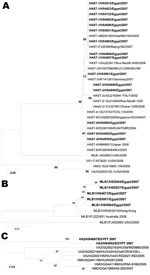 Thumbnail of A) Phylogenetic analysis of the partial amino acid sequences of the open reading frame (ORF) 2 capsid region of human astrovirus (HAstV) types I–VIII (using Mon primer) with other sequences from GenBank. B, C) Phylogenetic trees based on partial nucleotide sequences of MLB1 ORF2 (B) and ORF1b (VA2) (C). Egyptian isolates are shown in boldface. Sequence alignment was performed by using ClustalW in the BioEdit software package (www.clustal.org). Dendrograms were constructed by using t