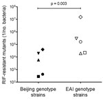 Thumbnail of Frequency of rifampin (RIF)-resistant mutants in Mycobacterium tuberculosis Beijing and East-African/Indian (EAI) genotype strains (5 strains each) originating from Vietnam. Mutation frequencies were determined in duplicate. Statistical analysis was performed by using an unpaired Mann-Whitney test.