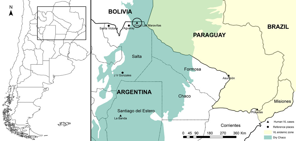 Incidence of visceral leishmaniasis (VL) in northern Argentina. Map at left indicates location of study area (right). Circle indicates location of farm where the patient (44-year-old man) in this study worked. Light green area indicates dry Chaco region, where VL is endemic and human cases have been found.