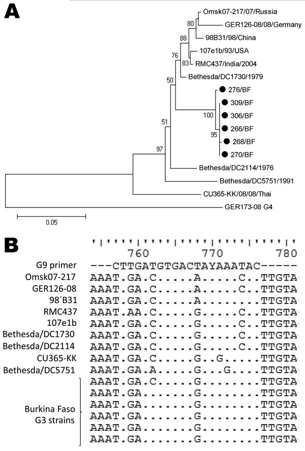 A) Phylogenetic analysis of partial sequences of the viral protein (VP) 7 genes (nt 115–851) for G3 rotavirus strains isolated in Burkina Faso during December 2009–March 2010, with a G4 strain as an outgroup. Scale bar represents number of substitutions per site. Bootstrap values are shown at the branch points (values of &lt;50% are not shown). B) The G9 primer used is homologous at the 3′ end to the VP7 gene of the G3 strains in Burkina Faso during December 2009–March 2010. The reference G3 str