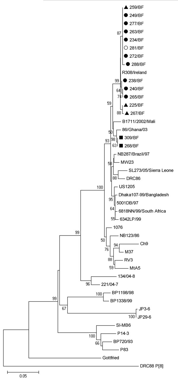Phylogenetic analysis of partial sequences of viral protein (VP) 8 subunits of the VP4 gene of rotavirus (nt 141–751), with reference strains from all P[6] lineages and with the P[8] DRC88 strain as an outgroup. GenBank accession numbers for VP4 genes of reference strains are available in Technical Appendix Table 3. Filled circles, G6P[6] rotavirus strains; triangles, G1P[6] strains; squares, G3P[6] strains; open circles, G1G6P[6] strains from Burkina Faso, December 2009–March 2010. Scale bar re