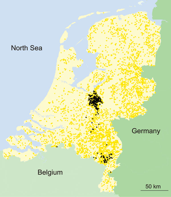 Locations of all 5,360 commercial poultry farms in the Netherlands (2). Black dots indicate farms that were infected during the 2003 epidemic of avian influenza; yellow dots indicate farms that were not infected.
