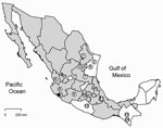 Thumbnail of Municipalities in Mexico in which rodents positive for antibodies against hantaviruses were captured: 1) Municipality of Santiago, state of Nuevo León; 2) San Fernando, Tamaulipas; 3) Real de Catorce, San Luis Potosí; 4) Doctor Arroyo, Nuevo León; 5) Soto la Marina, Tamaulipas; 6) Santa María del Oro, Nayarit; 7) Ciudad del Maíz, San Luis Potosí; 8) Autlán de Navarro, Jalisco; 9) Uruapan, Michoacán; 10) Ecatepec de Morelos, México; 11) Perote, Veracruz; 12) Chilpancingo de los Bravo