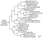 Thumbnail of Results of the Bayesian analyses of the nucleotide sequences of a 1,078-nt fragment of the glycoprotein precursor genes of 11 of the 24 hantaviruses found in Mexico in this study and 20 other hantaviruses naturally associated with members of the Neotominae or Sigmodontinae. An asterisk at a node indicates that the probability values in support of the clade were &gt;0.95. Scale bar indicates substitutions per site. The branch labels include (in the following order) virus, strain, hos