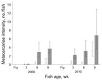 Thumbnail of Mean intensity of fish-borne zoonotic trematode metacercariae/fish for juvenile fish from intervention (white bars) and nonintervention (gray bars) nurseries. Error bars indicate SEM.