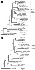 Thumbnail of Phylogenetic analysis of hantaviruses from the Western Hemisphere on the basis of partial A) small and B) medium segments. Novel strains described in this study are indicated in boldface. Depicted phylogenetic reconstructions are based on Bayesian inference conducted in MrBayes (29,30). Posterior probabilities are indicated at relevant nodes. CASV, Castelo dos Sonhos virus; ANDV, Andes virus; ORNV, Oran virus; BMJV, Bermejo virus; LECV, Lechiguanas virus; BMJC, Bermejo virus; NEMV, 
