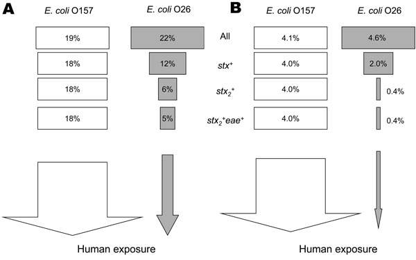 Schematic comparing farm-level (A) and animal-level (B) prevalences of Escherichia coli O157 and E. coli O26 in Scotland for different virulence levels. Analysis was done by using only the 338 farms sampled for both E. coli O157 and E. coli O26.