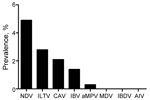 Thumbnail of Prevalence of 8 avian viruses detected by reverse transcription PCRs of a subset of 2,427 tracheal and cloacal swab samples collected in live-bird markets, Benin and Togo, 2009. NDV, Newcastle disease virus; ILTV, infectious laryngotracheitis; CAV, chicken anemia virus; IBV, infectious bronchitis virus; aMPV, avian metapneumovirus; MDV, Marek’s disease virus; IBDV, infectious bursal disease virus; AIV, avian influenza virus.