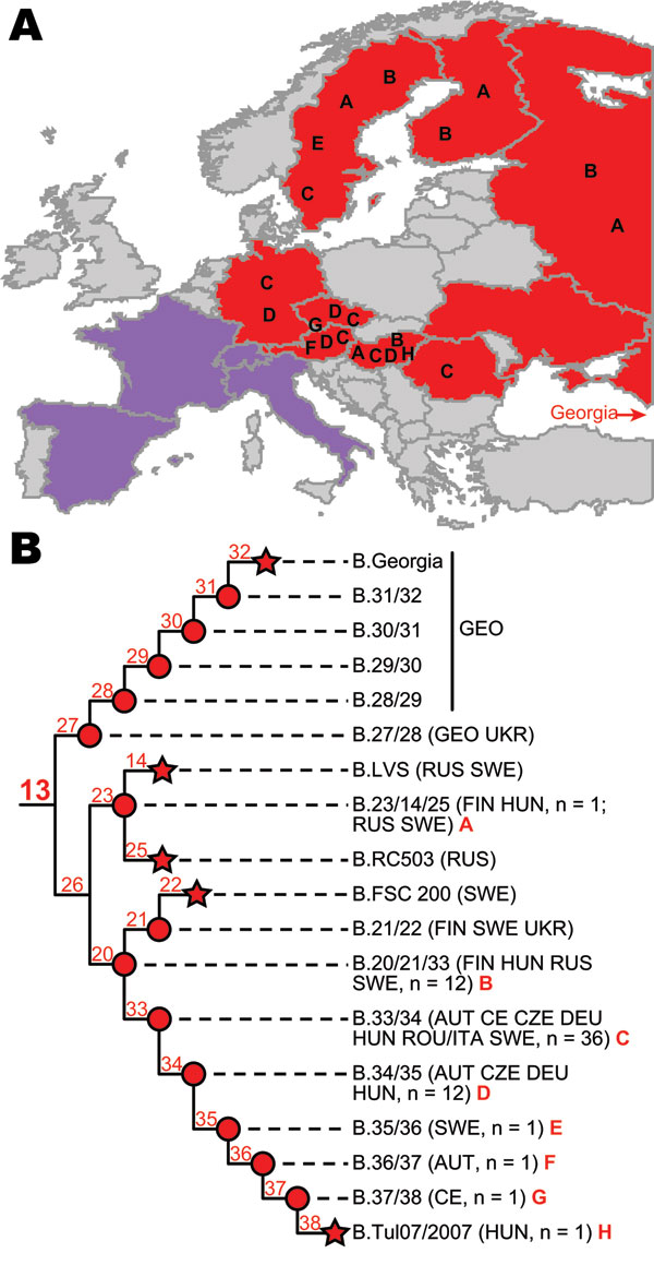 Detailed geographic distribution and phylogeny of subclades within group B.13. A) Countries from which groups B.13 and B.FTNF002–00 have been reported. Countries of origin for isolates assigned to select subclades within group B.13 are indicated by the letters A–H. Red and purple shading indicates the known geographic distributions of groups B.13 and B.FTNF002–00, respectively, in this and previous studies (5–9). The country of Georgia, which also contains isolates from group B.13 but is not dep