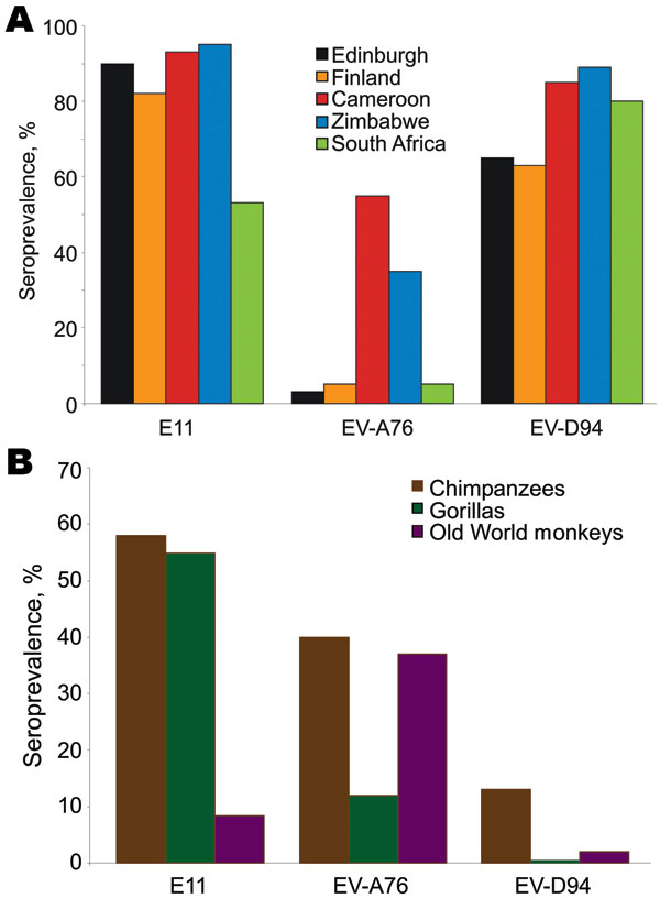 Seroprevalence of neutralizing antibody (titers &gt;16) to echovirus 11 (E-11) and enteroviruses A76 (EV-A76) and D94 (EV-D94) in A) human populations and B) nonhuman primates.