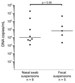 Thumbnail of Parvovirus 4 DNA loads in virus-positive nasal and fecal specimens from children, Ghana. Virus concentrations are given on a log scale on the y-axis. Each dot represents 1 specimen. Horizontal lines represent median values for each sample type. For calculation of statistical significance of the difference in viral quantities between sample types, the Mann-Whitney U test was used. Virus quantities in nasal swabs and feces are given for sample suspensions (nasal swabs in 1.5 mL of sta