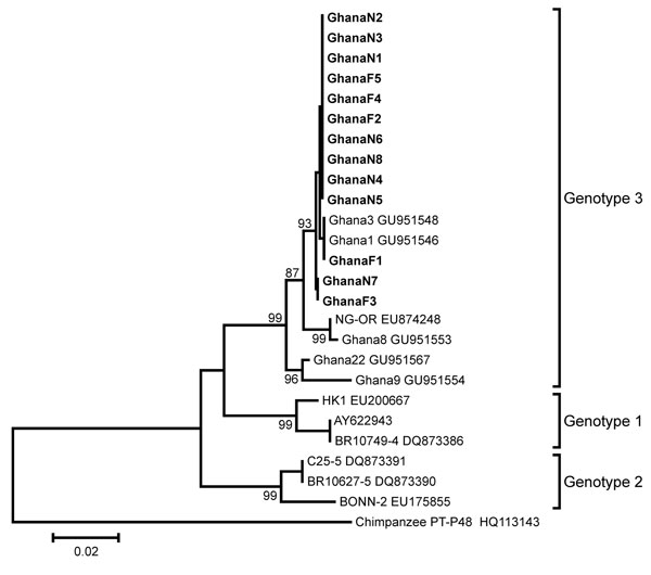 Phylogenetic analysis of a 483-nt fragment of the parvovirus 4 (PARV4) capsid-encoding open reading frame (ORF) 2 for PARV4 strains identified in children, Ghana. Neighbor-joining phylogeny was conducted in MEGA5.05 (www.megasoftware.net) by using a gap-free ORF2 fragment corresponding to positions 2,432–2,914 in the PARV4 genotype 3 prototype strain NG-OR (GenBank accession no. EU874248) with a nucleotide percentage distance substitution model and 1,000 bootstrap replicates. Scale bar indicates