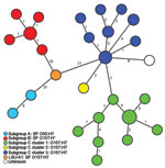 Thumbnail of Minimum-spanning tree based on single-nucleotide polymorphism (SNP) genotypes illustrating the phylogeny of 50 enterohemorrhagic Escherichia coli O157:H7/H– and O55:H7 isolates and the intermediate position of strain LSU-61 during the evolution of O157. Each node represents a unique SNP genotype. The size of each node is proportional to the number of isolates per SNP genotype based on sequence analysis of 51,041 bp comprising 92 partial open reading frames. Numbers on lines between 