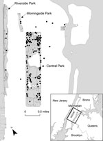 Thumbnail of Location of rabid raccoons in and around Central Park, New York City, New York, USA, December 1, 2009–December 1, 2011. Each dot represents a rabid raccoon.