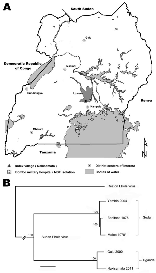 Sudan Ebola virus in Uganda, 2011. A) Geographic locations of Nakisimata village and Bombo Military Hospital with the isolation facility established by Médecins Sans Frontières (MSF) relative to locations where Sudan Ebola virus (SEBOV) was isolated during the current and previous outbreaks in Uganda. Scale bar indicates kilometers. B) Maximum likelihood tree obtained from full length sequences of SEBOV strains Nakisamata (JN638998), Boniface (FJ968794), Gulu (AY729654), and Yambio (EU338380) an