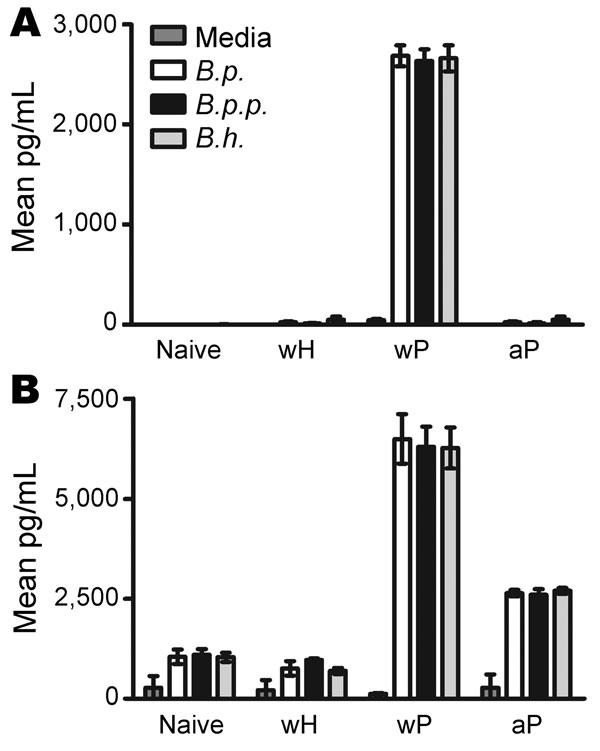 Comparison of splenic interferon (IFN)–γ (A) and interleukin (IL)–10 (B) responses in naive mice versus mice vaccinated with whole-cell pertussis vaccine (wP), aceullar pertussis vaccine (aP), and whole-cell Bordetella holmesii vaccine (wH). Splenocytes from naive mice or wH-, wP-, or aP-vaccinated mice were stimulated with media only or media containing heat-killed B. pertussis (B.p.), B. parapertussis (B.p.p.), or B. holmesii (B.h.). Error bars indicate SE.