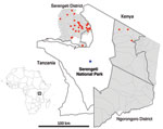 Thumbnail of Serengeti National Park and surrounding districts (Serengeti and Ngorongoro). Blue dot indicates location of Ikoma lyssavirus–infected African civet within Ikoma Ward in northwest Tanzania. Red dots indicate cases of rabies confirmed during 2003–2011. Top left, map of Africa indicating study area in Tanzania (gray box).