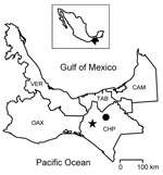 Thumbnail of Five states in southern Mexico in which rodents were captured. The star indicates where the rodents in this study were captured; the solid circle indicates the location of the hospital that provided care for the persons affected by hemorrhagic fever in the 1967 epidemic (17). Inset shows the location of Chiapas in Mexico. CAM, Campeche; CHP, Chiapas; OAX, Oaxaca; TAB, Tabasco; VER, Veracruz.