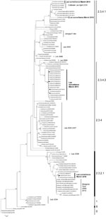 Thumbnail of Phylogenetic relationships of hemagglutinin 5 (H5) gene segments of avian influenza viruses (H5N1), Laos, 2009–2010. The tree was rooted in A/goose/Guangdong/1/1996 (nt 91–919, H5 numbering). Surveillance sequences are indicated in boldface and marked with black (isolates) or open (direct sequences) squares. Bootstrap values &gt;75 are shown. Clade numbers are shown on the right. Scale bar indicates nucleotide substitutions per site. A/chicken/Laos/Xayathiani-32/2006-like, A/pigeon/