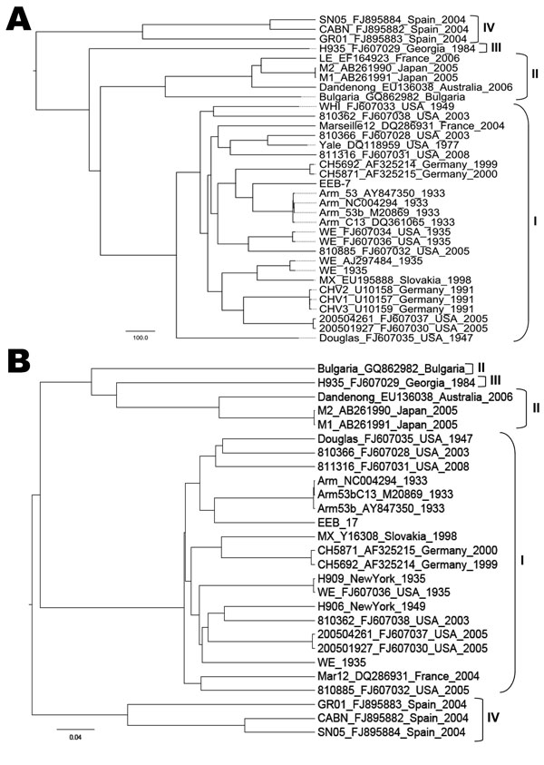 Phylogenetic tree showing genetic lymphocytic choriomeningitis virus sequences relationship within the small segment coding for the glycoprotein complex (A) and nucleocapsid proteins (B). The name of the strain is followed by GenBank accession number, country, and year of detection. Clusters grouped in brackets depict the lymphocytic choriomeningitis virus lineage. Scale bars indicate nucleotide substitutions per site.