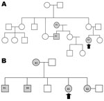 Thumbnail of Patients with drug-resistant tuberculosis in families 1 (A) and 2 (B), South Africa, 2008–2010. Gray shading indicates person identified with tuberculosis; arrows indicate child index case-patients; circles indicate female family members; squares indicate male family members.