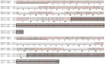 Thumbnail of Sequence alignments of the amino acid sequences of human adenovirus (HAdV) 40 long fiber (fiber 2) with simian adenovirus (SAdV) 18 fiber (upper lines) and HAdV-40 short fiber (fiber 1) with macaque adenovirus isolate A1173 (lower lines). Gray shading indicates homologous regions, red font indicates identical residues, underlining indicates N-terminal 30 residues that constitute the tail, and boxes indicate C-terminal knob domains. Intervening shaft domains harboring varying numbers