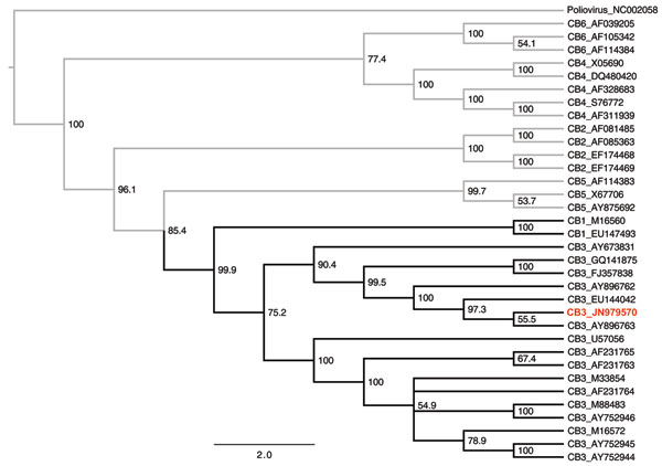 Phylogenetic tree of coxsackie B viruses inferred by using neighbor-joining analysis. The tree was generated by using the Tamura-Nei distance model and 1,000 bootstrap replicates. Scale bar represents estimated phylogenetic divergence. Specific coxsackie B virus serotypes (CB1–6) and corresponding GenBank accession number are shown on the right. Poliovirus was included as an outgroup. Coxsackie virus B clade shown in boldface; the reported coxsackie B virus sequence is listed in red. CB, coxsack