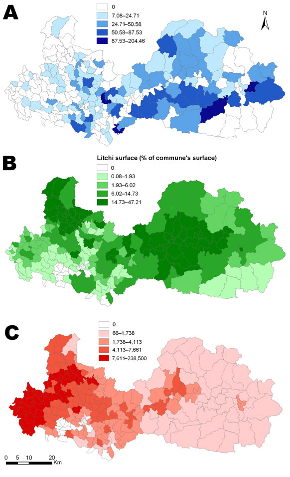 Commune-level maps of Bac Giang Province, Vietnam, 2004–2009. A) Cumulative incidence rate per 100,000 inhabitants of Ac Mong encephalitis. B) Mean percentage of commune surface area devoted to litchi cultivation. C) Mean poultry density (no. per km2).